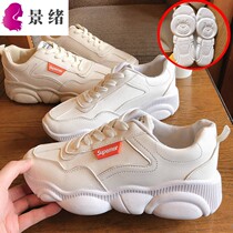 Breathable mesh 2019 autumn new shoes female students Korean version of Joker small white shoes ins Daddy shoes