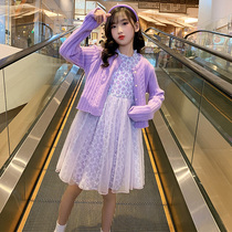 Girls dress for dress spring clothing spring and autumn childrens skirts Long sleeves 2022 new foreign air girls Broken Flowers Princess Nepotism