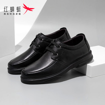  Red dragonfly mens shoes 2021 spring and autumn round head business casual leather low-top lace-up comfortable leather shoes mens work shoes