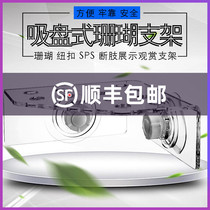 13-hole coral SPS bracket CRB-13 corner version button frame acrylic amputated limb seat reinforced suction cup