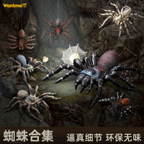 Play Molle Quality Solid Spider Model Bird Spider Red Velvet Spider Child Simulation Insect Model