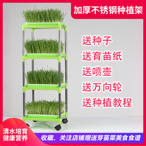 Sprout vegetable seedling plate Seed vegetable plate Soilless cultivation vegetables four seasons Household hydroponic self-growing vegetables Bean sprout artifact