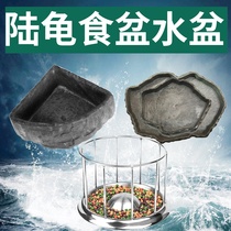 Tortoise water basin Food basin Feeder Drinking basin Climbing pet reptile Lizard food plate Turtle bath food basin Snake frog Hamster