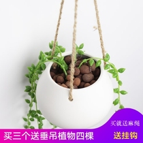 Pork pot hanging basket hanging hanging hanging flower pot ceramic hanging wall indoor creative hydroponic water planting green plant Basin