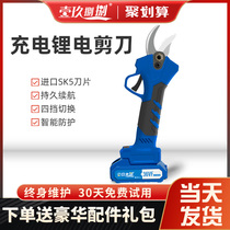 Electric scissors repair Orchard forest tree Big branch Green special knife Wireless Rechargeable cutting garlic pepper head electric scissors machine