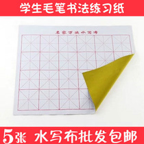 5 Famous Wan Zi water writing cloth rice characters Free Ink copybook imitation rice paper student childrens brush calligraphy practice paper