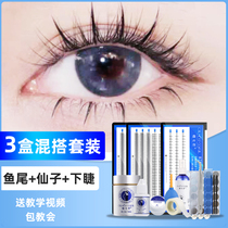 Net red fairy hair self-adhesive false eyelashes womens single cluster lasting strong natural simulation graft eyelash suit yourself