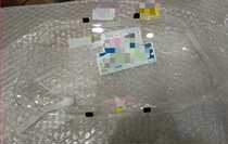 Suitable for the comfort Ride Carola Crown RAV4 Boom Flower Crown Meter Glass Dashboard Hood Plastic Original Car