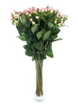 Imported Kenyan Fire Dragon beads red beans acacacia beans flowers family flower arrangement life office work flowers