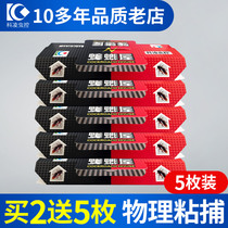 5 pieces of anti-cockroach house paste a nest of cockroach medicine Household end stick plate trap In addition to killing kitchen artifact nemesis Indoor