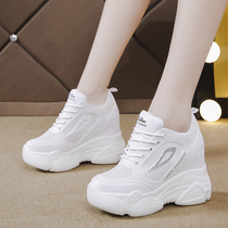 Inside Heightening Old Daddy Shoes Women Ins Tide 2022 New Breathable Mesh Surface Sports Casual Shoes Thick Bottom Little White Shoes 100 hitch