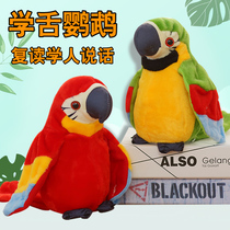 Simulation of the parrot Doll Doll who can learn to speak