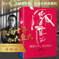 Genuine Radical Decades-long Water Big Fish Great Chinese Enterprise 2008-2018 Fine Clothing Wu Xiaobo with CITIC Press Book bestseller Books Exciting Three Decades of Authentic Book