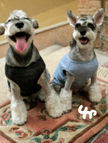 Treasure Chest Pet Dog Clothes Tricolour Optional Minimalist Vest Slim cotton blouse breathable and comfortable Four Seasons