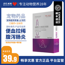 Pet cat dog enteritis bloody stool vomiting diarrhea antidiarrheal medicine gentamicin veterinary oral antidiarrheal anti-inflammatory medicine