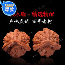 Vin Playing Walnut Handlebar to Play Ancient Play in the Four Buildings Lions Head Tiger Head Small Stuffy White Apple Orchard Collection Grade New Year Benefits