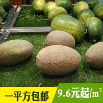  Hot sale fruit shop artificial grass mat Fruit lawn mat Decorative mat Vegetable blanket background grass blanket shop