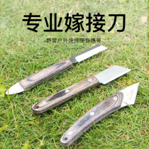 Fruit tree grafting knife Professional grafting knife Seedling bud knife Manual premium tree knife Special steel gardening tools