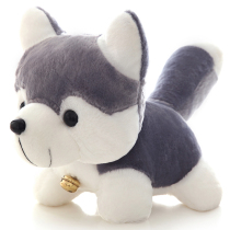 Haschic paparazzi puppy wool suede toy large number dog holding pillow doll doll girl mini emulation cute