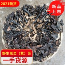 Black Lingzhi Wild Purple Lingzhi 500g Guangxi 100 thousand Great Mountain Pure Natural Whole Branches Small Pot of Boiling Soup is not bitter