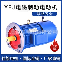 Y2EJ electromagnetic brake motor 0 75KW three-phase asynchronous motor 380V power-off brake with Brake brake AC copper