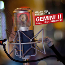 sE Electronics GEMINI II GEMINI II Double Tube Microphone Handmade Microphone