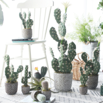  Sicily simulation plant Cactus Desert Elf series Desktop potted home office decoration window