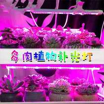 nursery plant growth lamp waproof flower plant growth