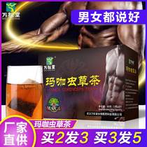 Wansongtang Maca Ginseng Cordyceps Polygonatum Tea Man Lasting Tea Wubao Tea Supplementing Tea Husband Tea Health Tea