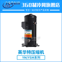 Yinghuate YM70A1G-100 refrigerated Compressor 4 PR R22 corresponding ZB29KQ cold storage equipment compressor