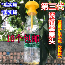 Fruit and vegetable fly trap fruit fly trap melon Orchard needle bee lead fly new insecticide vegetable field