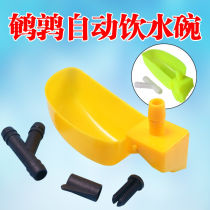 Pigeon drinking water Quail drinking bowl Quail automatic drinking water feeding box Pigeon feeding bowl Quail left and right water bowl