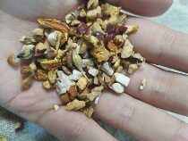 The selection of gold for the seed of the seed of the seed of the seed of the seed of the seed of the seed of the wild a 12-pack of a 12 bag