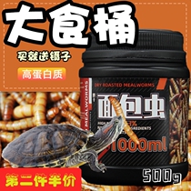 Tortoise Grain Feed Bread Worm Dry Basil Turtle Universal Grass Turtle Turtle tortoise Tortoise Turtle Food Gold Money Tortoise Turtle food