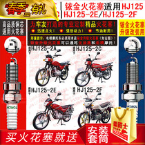 TORCH COPPER CORE IRIDIUM GOLD SPARK PLUG SUITABLE FOR LUXURY FIVE SHEEP HJ125-2A HJ125-2A -2C -2F -2F) CROWN -2E