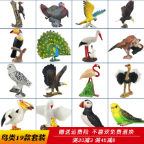 Simulation bird animal model Eagle toy Parrot Owl Vulture Pelican Swan Children cognitive small ornaments