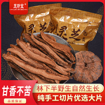 Changbai Mountain forest purple ganoderma lucidum large 500 grams of tea soup is not bitter Field growth can be cut to powder non-red Zhi