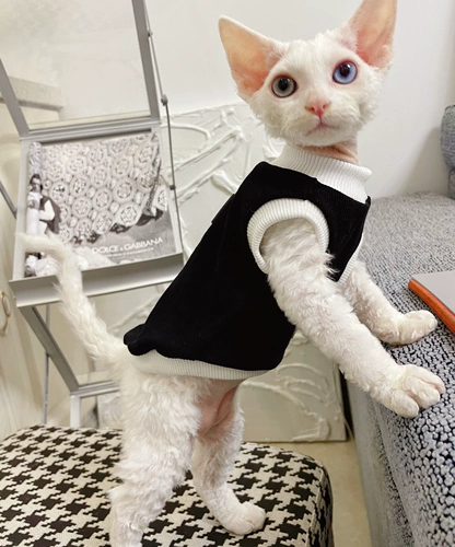奶油是只无毛猫 Sphinkist Pet Cat Одежда чистая хлопковая безволоса