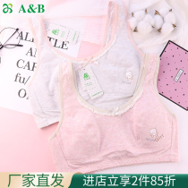 AB lingerie girl bra 8-12 years old thin haircut free steel ring comfortable and breathable little vest E017