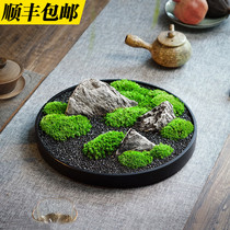 Evergreen White Hair Moss Microscape New Chinese Style Sun-Style Landscape Bonsai Sales Office Desk Tea Tabletop Pendulum