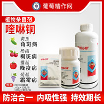 Shunyi must Green Sea Zhengbai green quinolone copper bacterial disease copper preparation downy mildew Grape Organic copper pesticide fungicide