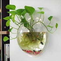 Wall Hanging Bubble Bowl Plant Fish Tank Aquarium Home Decor