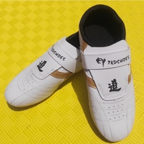 Male and female dance shoes Adult Taekwondo Shoes Breathable Wear-proof Competition Performance Wushu Taekwondo Shoe