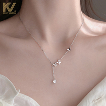  Butterfly tassel necklace female 2021 new 925 silver light luxury niche design cold wind net red ins clavicle chain