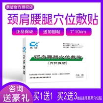 Tianjin Chenjie neck shoulder waist and leg acupressure paste anti-inflammatory anti-swelling analgesic clinical symptom relief paste