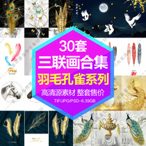 Decorative painting core HD Gallery Peacock animal feather triple painting combination set electronic picture design material