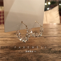 South Korea Dongdaemun earrings 2021 new trend net red drop earrings Forest department super fairy crystal ins earrings women cold wind