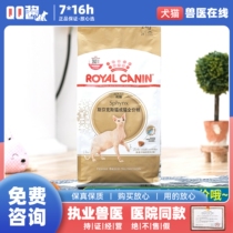 Royal cat food SX33 Sphinx cat adult cat food 4 catties hairless cat nutrition and fattening special cat staple food 2KG
