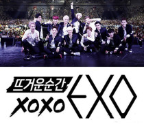 Hot moment XOXO EXO DVD