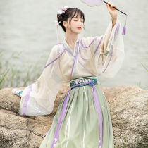 Pool Charlotheon: Flow light flying plums with double deceit collar upper pleats Pleats Original Improved Hanfu Women Spring Autumn